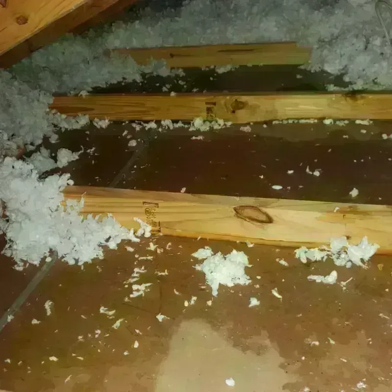 Attic Water Damage in Hull, MA