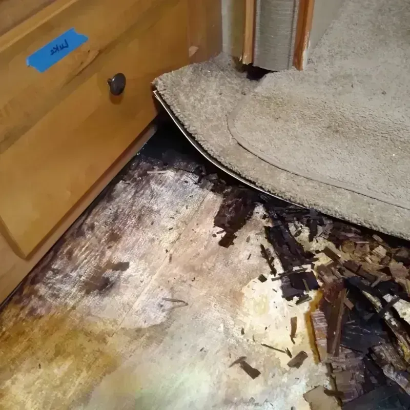 Best Wood Floor Water Damage Service in Hull, MA